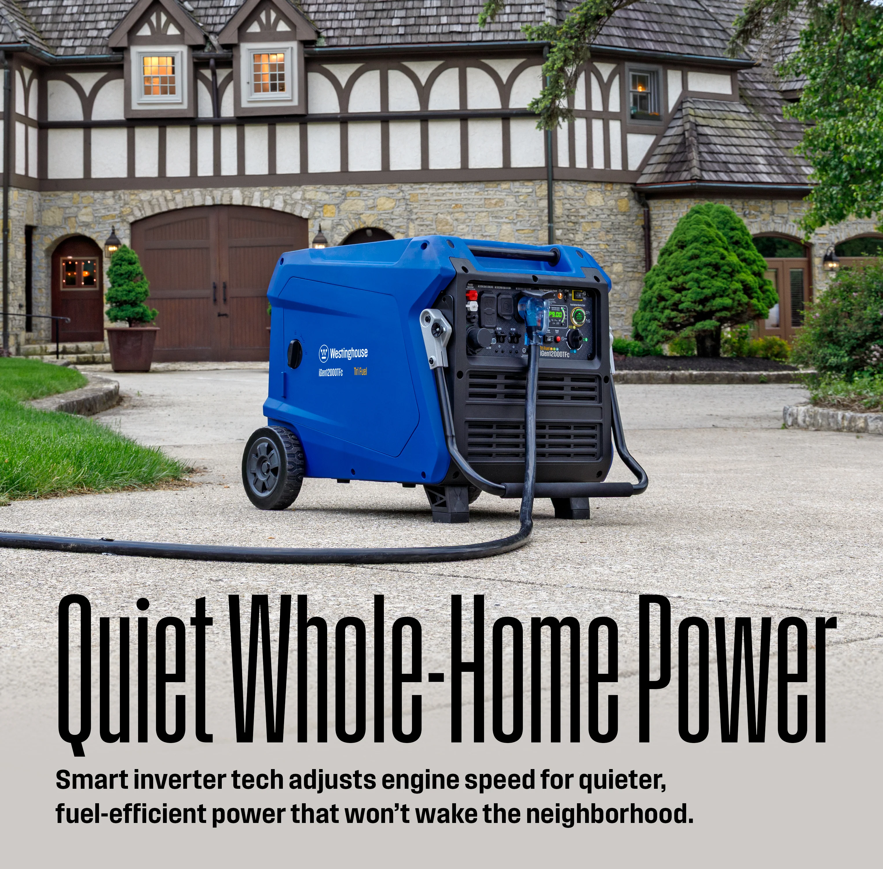 iGen12000TFc Inverter Generator - Tri-Fuel with CO Sensor - Image 4